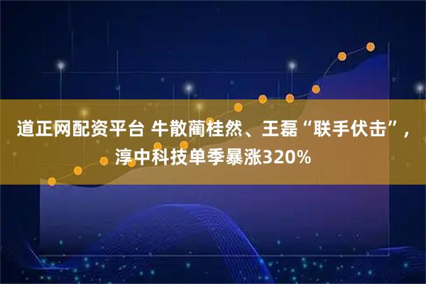 道正网配资平台 牛散蔺桂然、王磊“联手伏击”,淳中科技单季暴涨320%