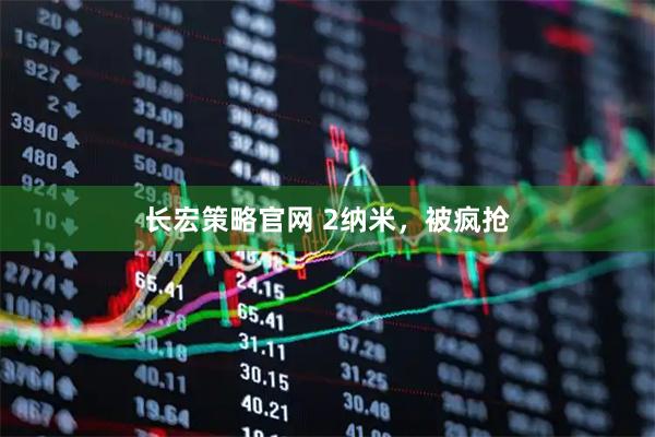 长宏策略官网 2纳米，被疯抢