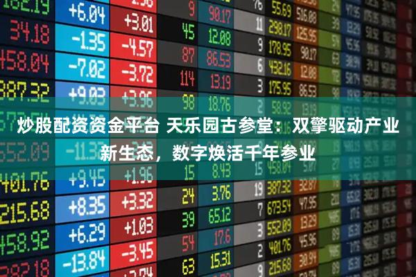 炒股配资资金平台 天乐园古参堂：双擎驱动产业新生态，数字焕活千年参业