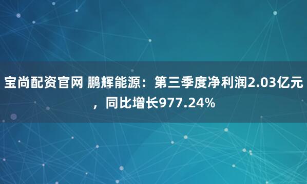 宝尚配资官网 鹏辉能源：第三季度净利润2.03亿元，同比增长977.24%