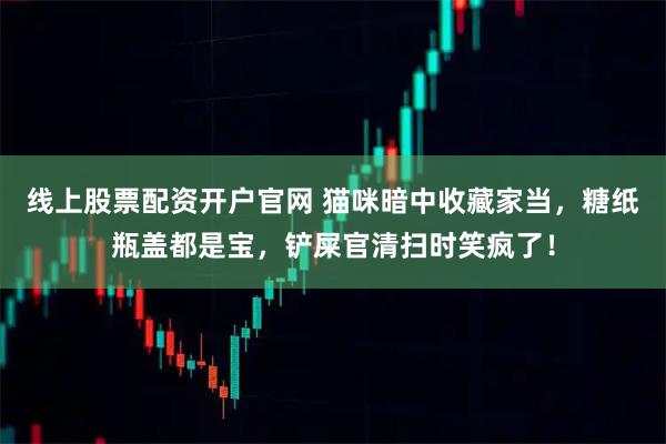 线上股票配资开户官网 猫咪暗中收藏家当，糖纸瓶盖都是宝，铲屎官清扫时笑疯了！